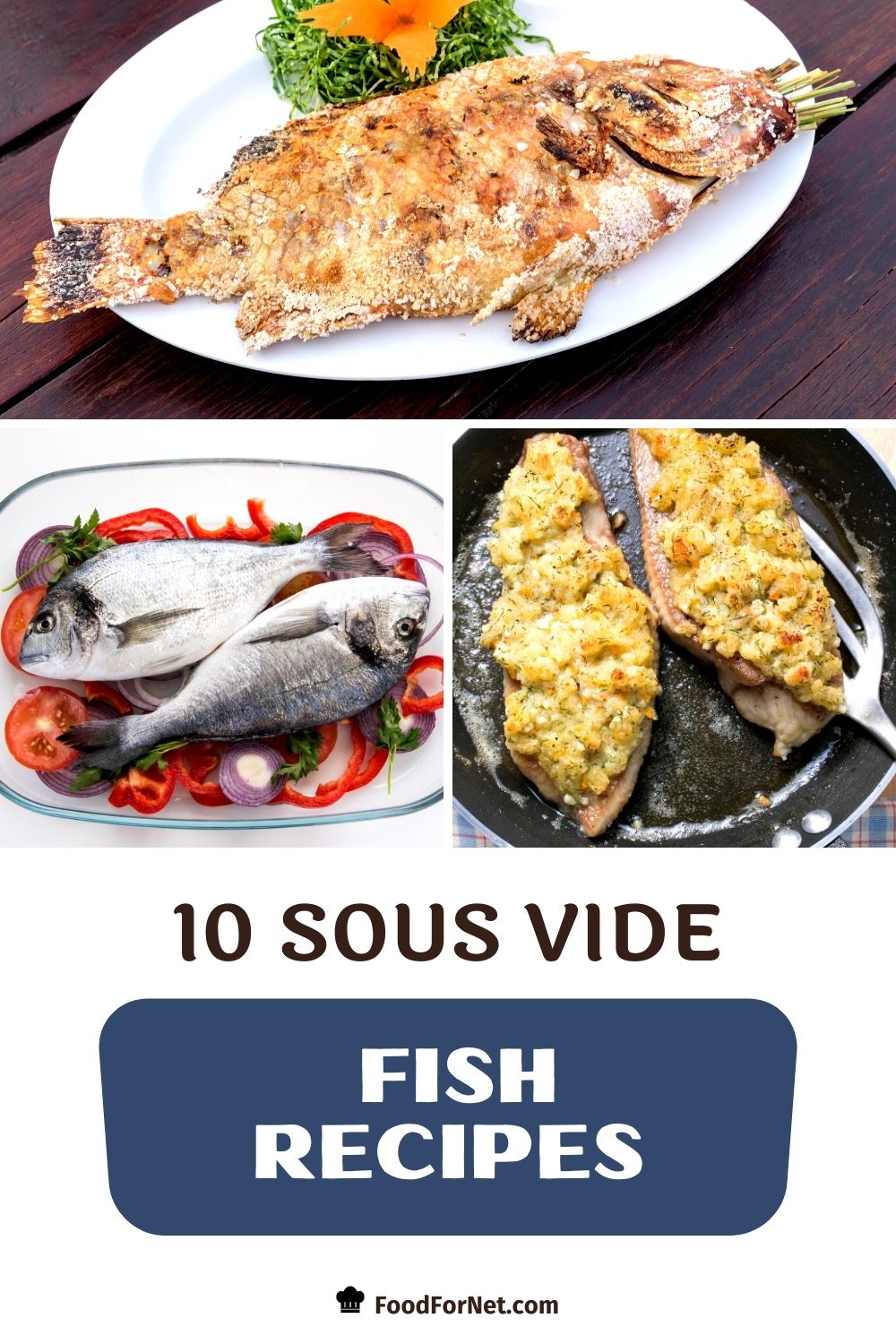 10 Sous Vide Fish Recipes For Seafood Heaven Food For Net