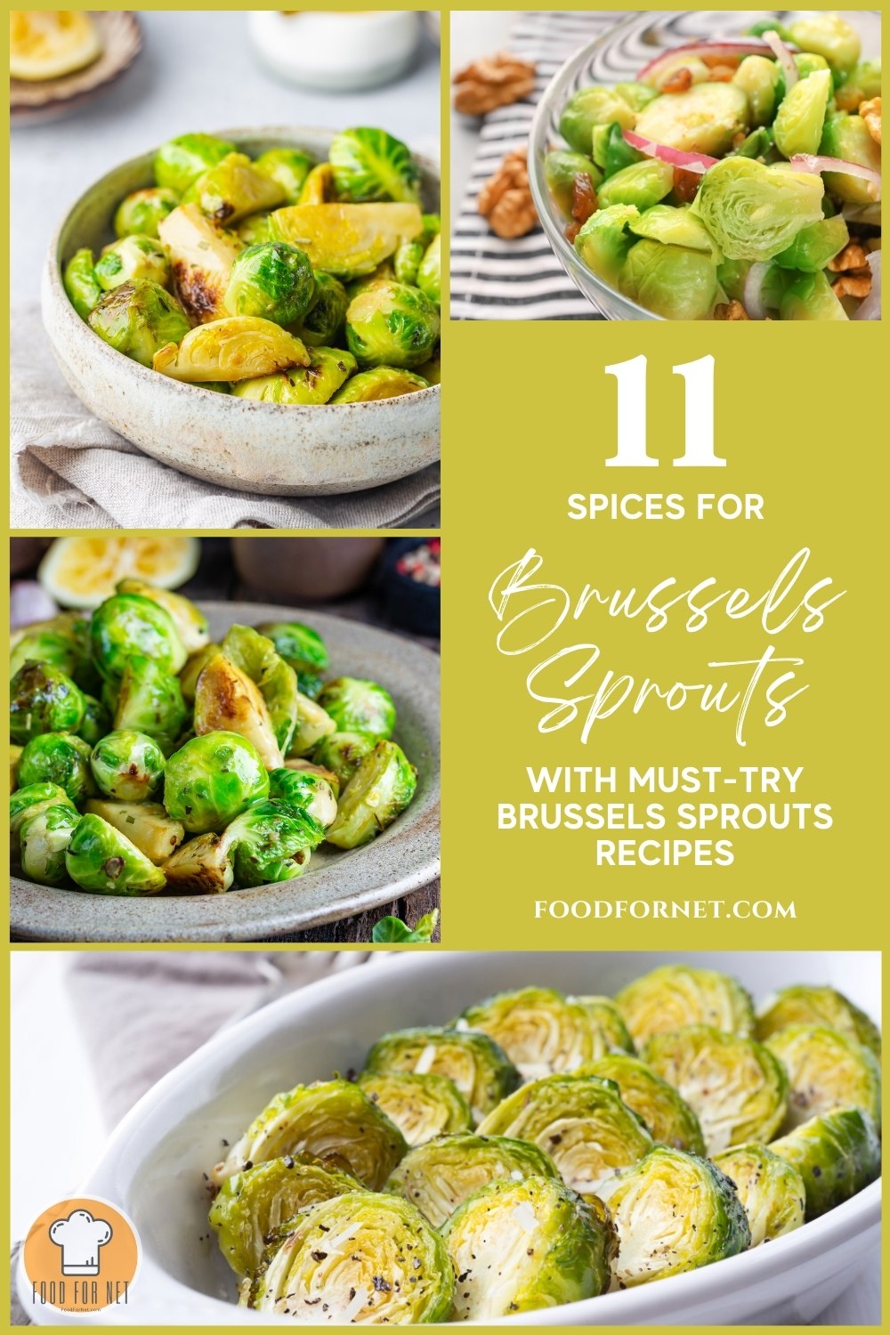 Spices for Brussels Sprouts. photo collage of beautifully plated Brussels sprouts dishes, with text overlay "11 Spices for Brussels Sprouts with Must-try Brussels Sprouts Recipes"