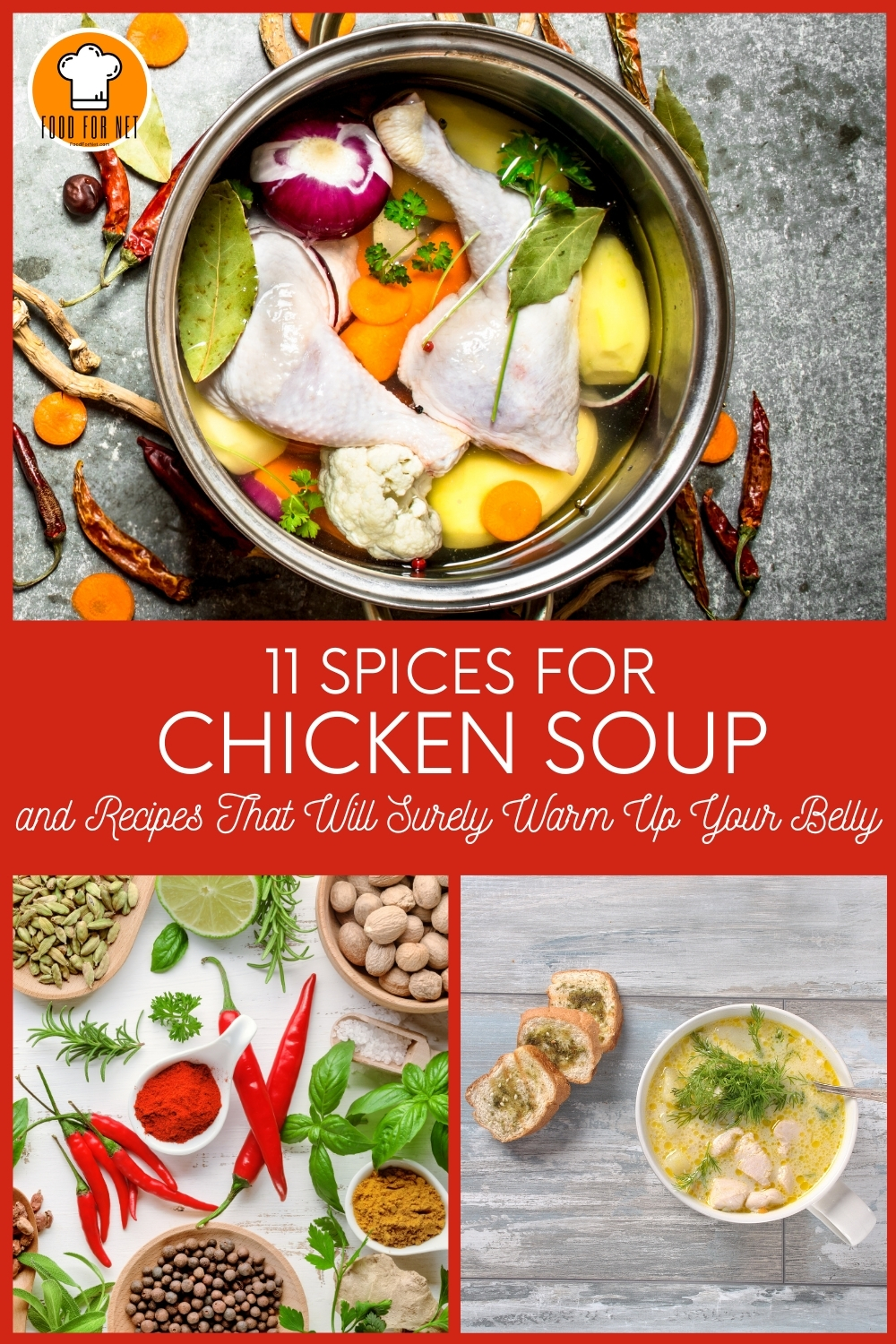 11 Spices for Chicken Soup and Recipes That Will Surely Warm Up Your ...