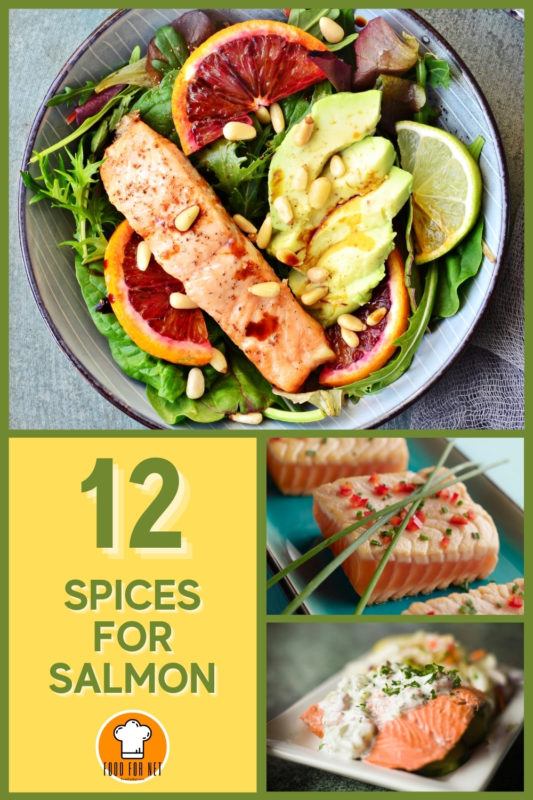 Best 12 Spices for Salmon You Shouldn’t Miss Trying Food For Net