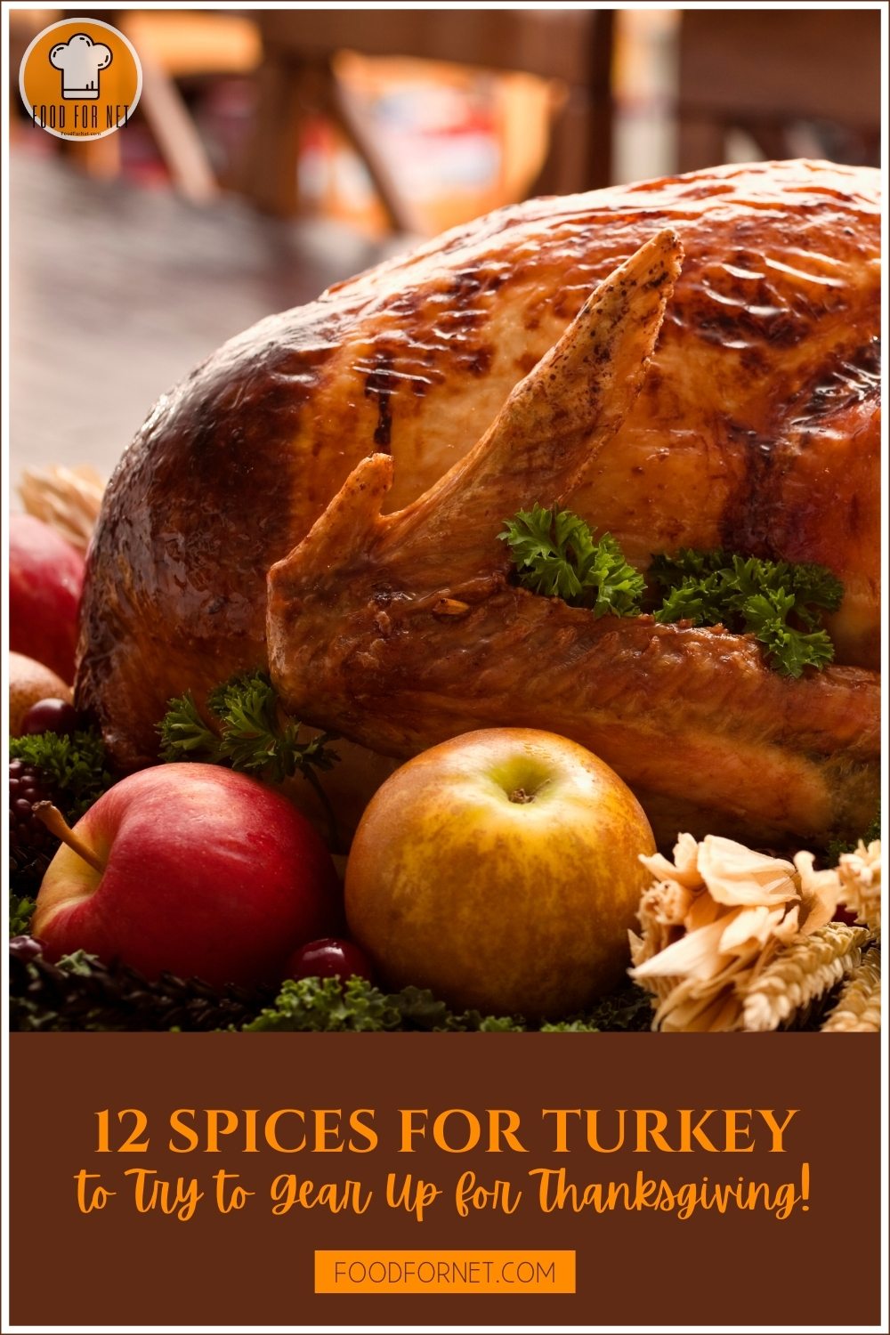 Spices for Turkey. a closeup image of a beautifully plated roasted turkey with herbs and whole apples; with text overlay "12 Spices for Turkey to Try to Gear Up for Thanksgiving!"