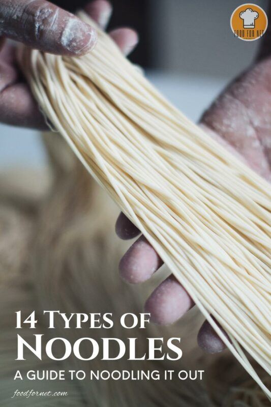 14 Types of Noodles A Guide to Noodling It Out Food For Net