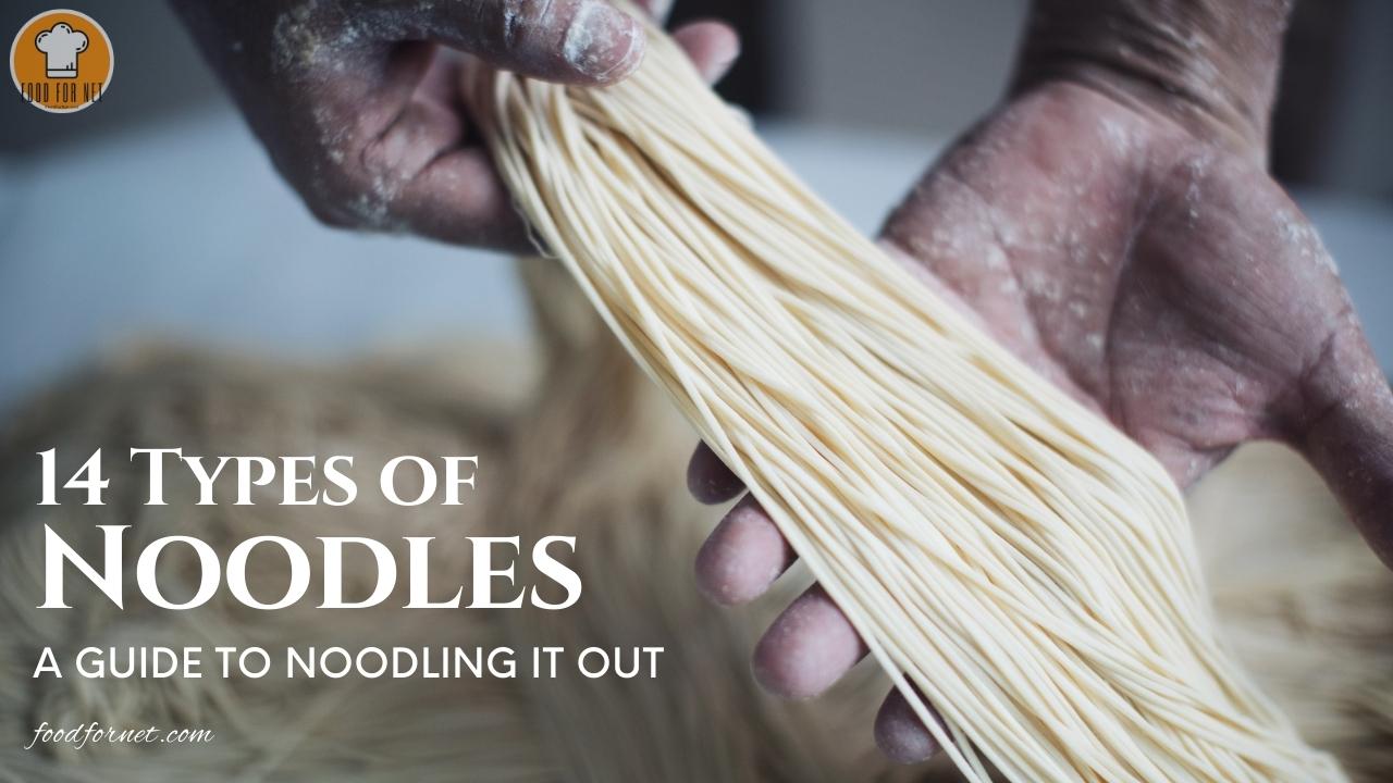 14 Types of Noodles A Guide to Noodling It Out Food For Net