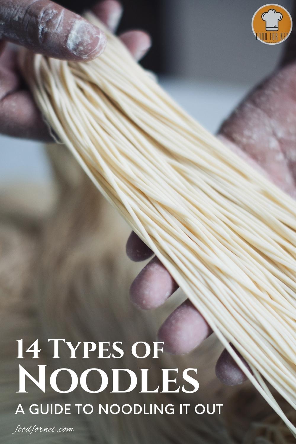 Types of Noodles. a closeup image of hands holding out freshly made noodles; with text overlay "14 Types of Noodles: A Guide to Noodling It Out"