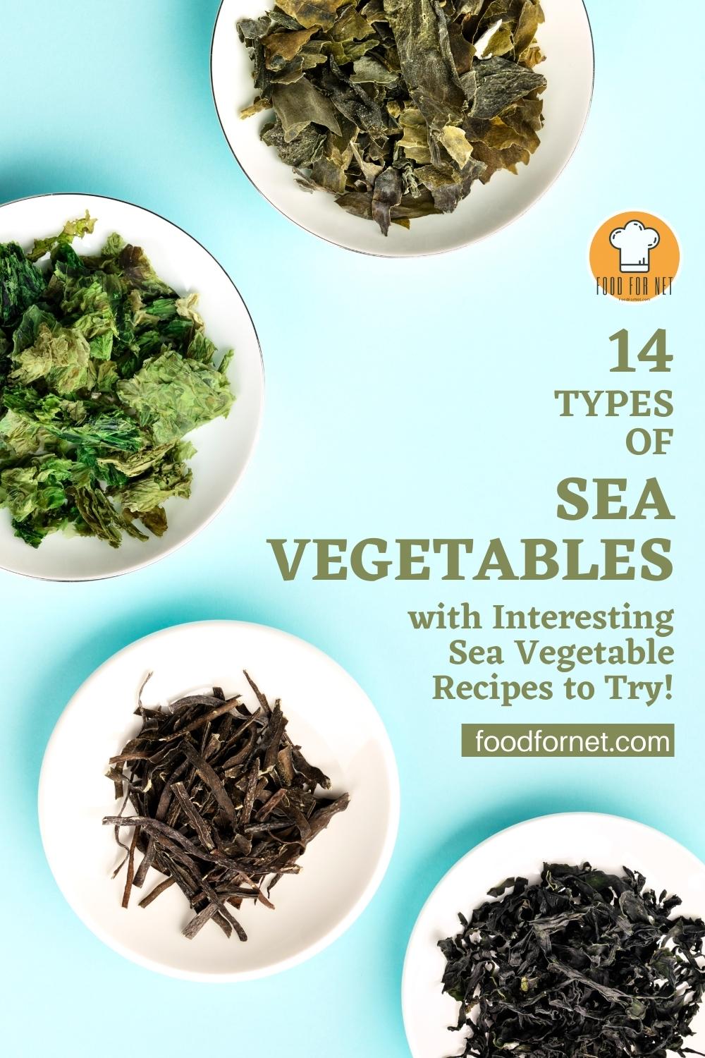 overview image of 4 white bowls with different types of sea vegetables or seaweeds