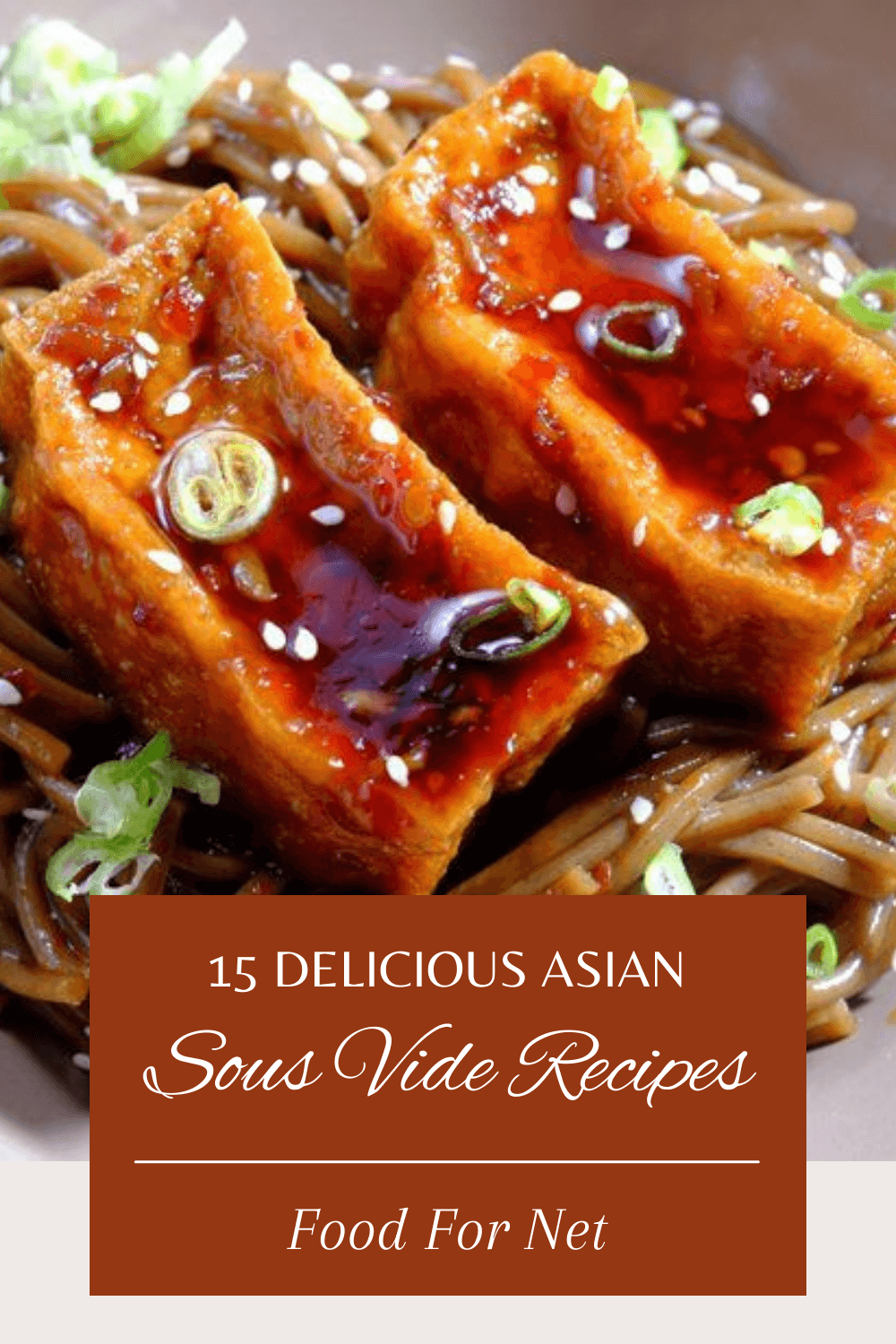 A large white bowl with noodles and marinated tofu, highlighting a variety of Asian sous vide recipes.