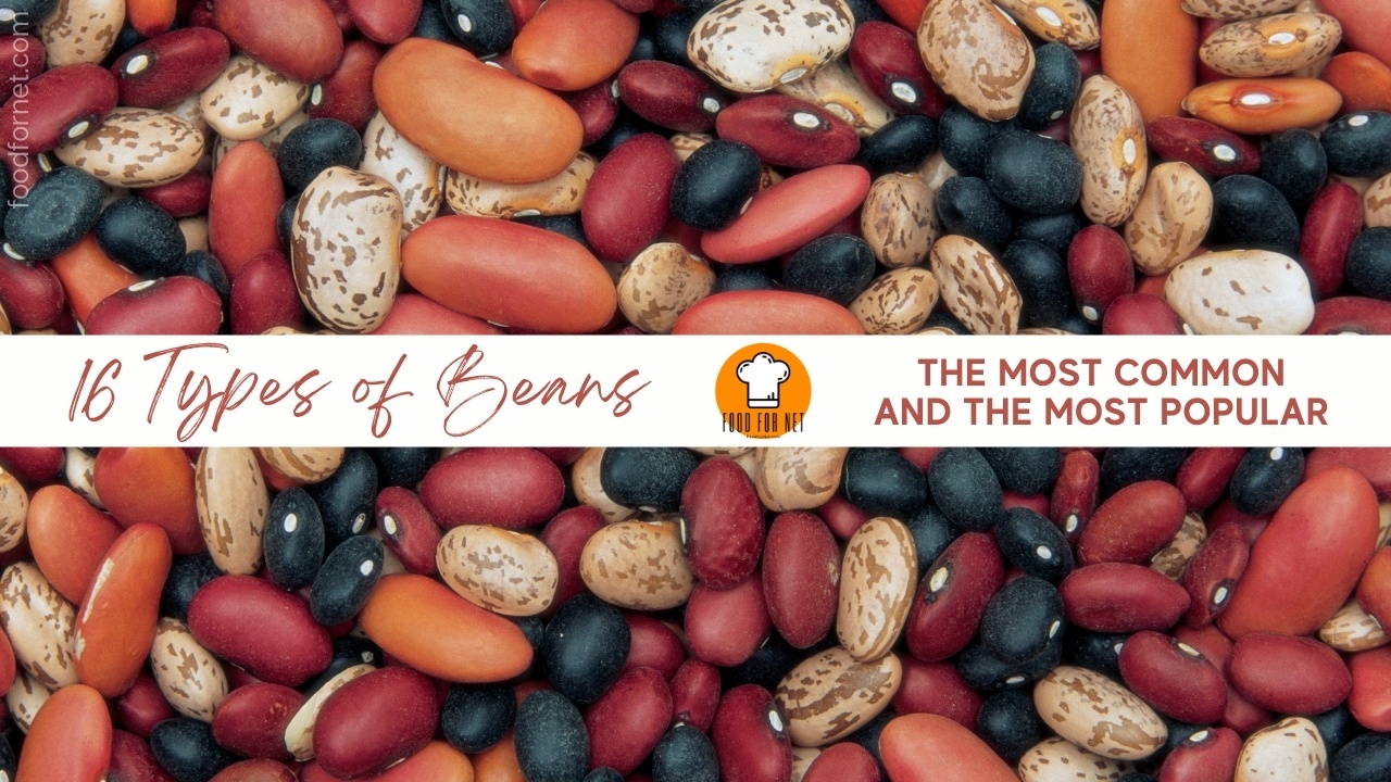 16 Types of Beans – the Most Common and the Most Popular | Food For Net