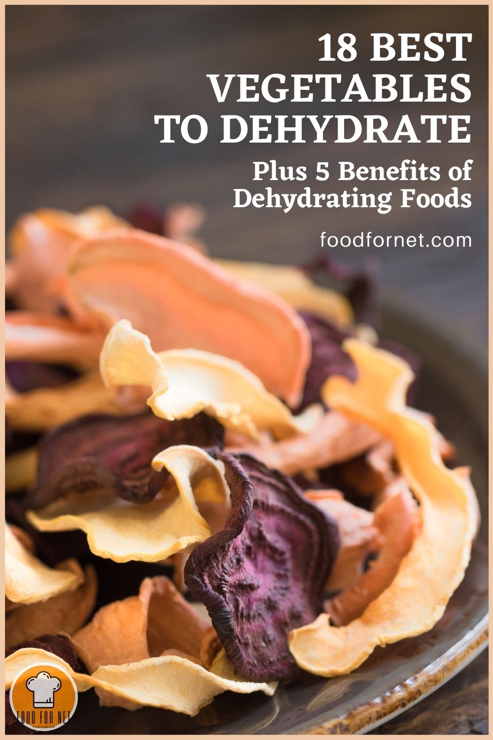 Best Vegetables to Dehydrate. closeup image of a bowl full of dehydrated vegetables, with text overlay "18 Best Vegetables to Dehydrate Plus 5 Benefits of Dehydrating Foods"