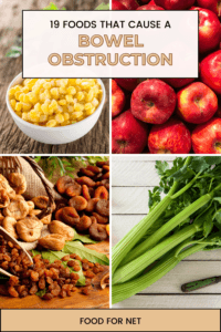 19 Foods That Cause A Bowel Obstruction | Food For Net