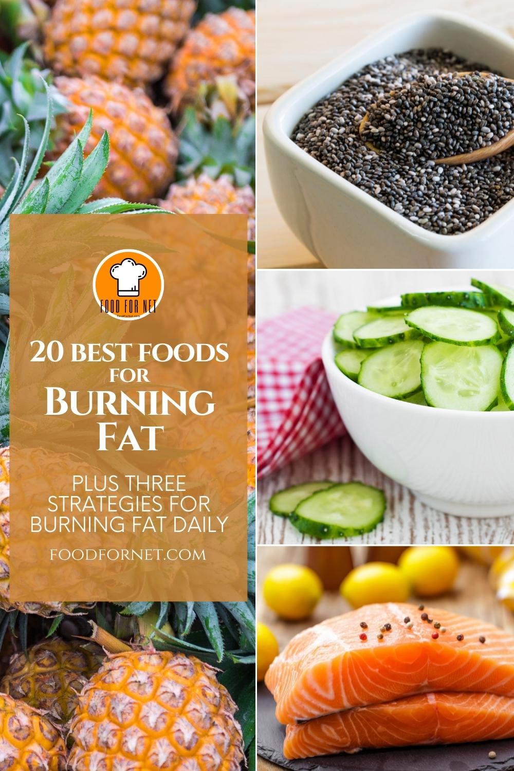 Foods For Burning Fat. photo collage of a pile of pineapples, a bowl of chia seeds, bowl of sliced cucumber, and a couple of salmon meat; with text overlay "20 Best Foods For Burning Fat, Plus Three Strategies For Burning Fat Daily"