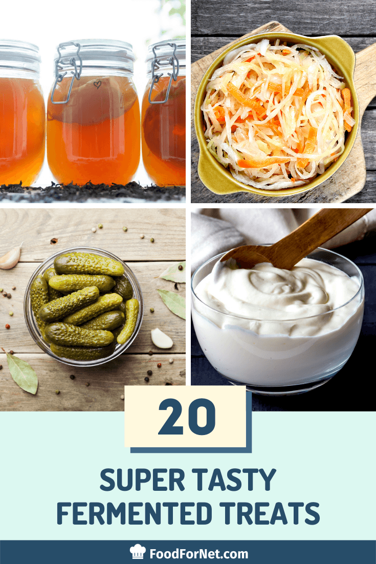 four types of fermented foods including sauerkraut, kombucha, pickles, and yogurt.