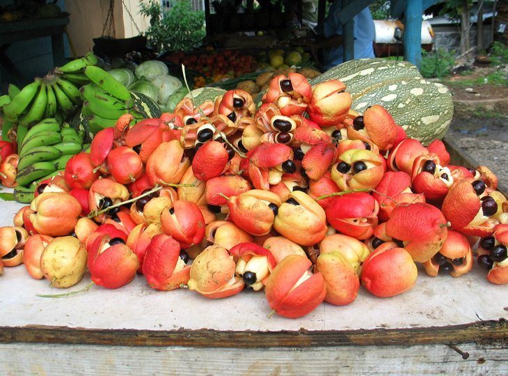 A selection of ackee fruits on a table or bench