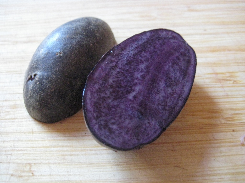 Purple Majesty Potato