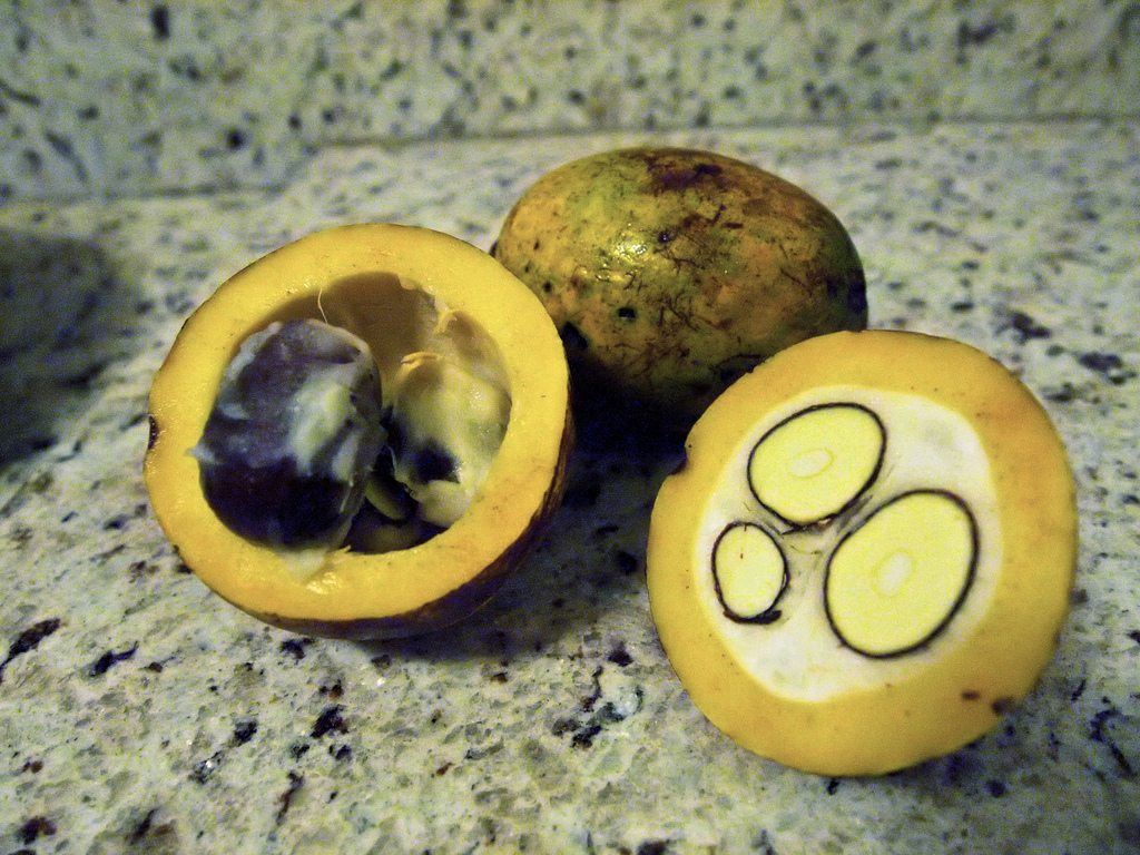 Bacuri fruit on a marble table. There is one whole fruit, along with two halves that clearly reveal the seeds. 