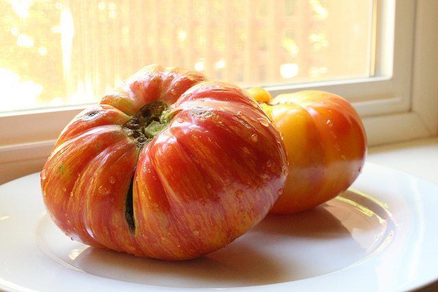 vintage wine tomato