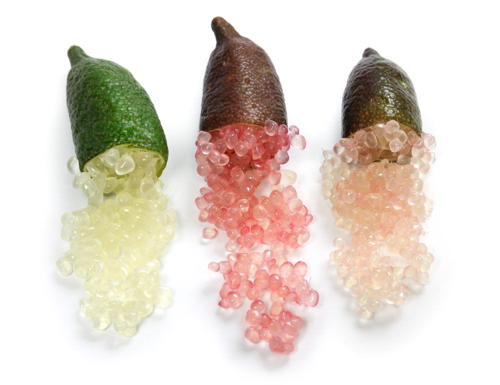 finger lime Citrus australasica | Food For Net finger lime Citrus australasica