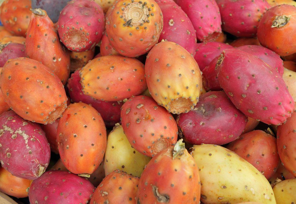 A collection of prickly pear fruits in many different colors