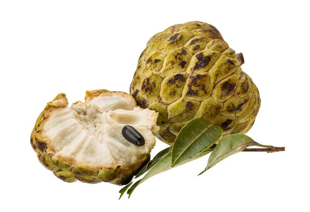 shutterstock_190379972 | Food For Net shutterstock_190379972