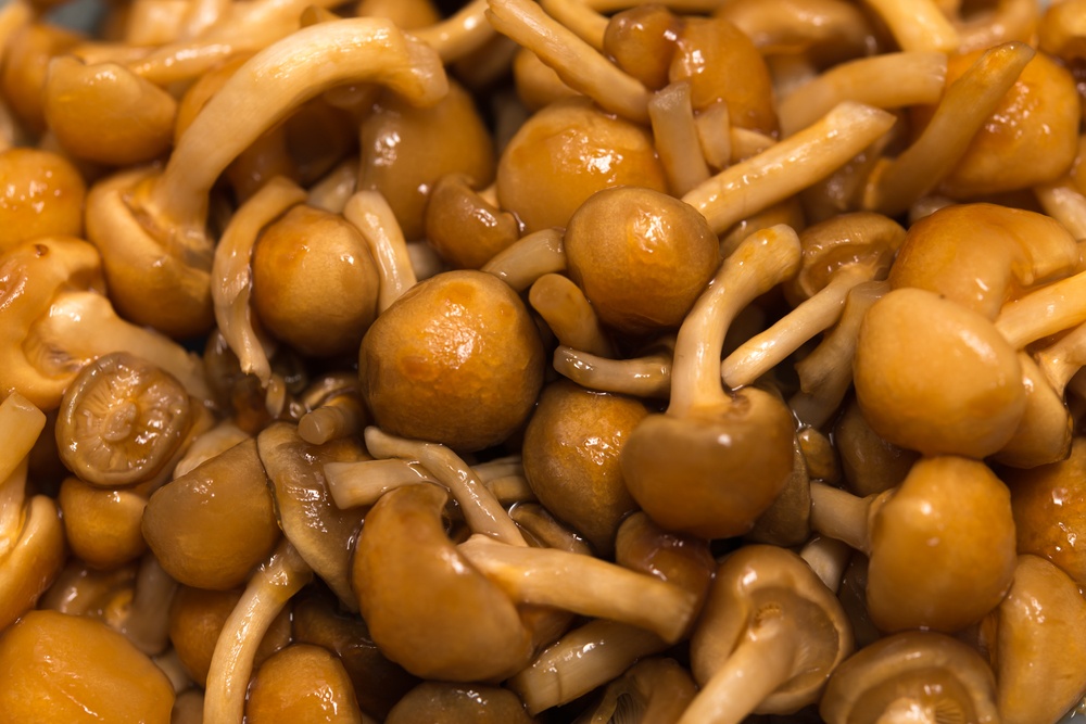 nameko