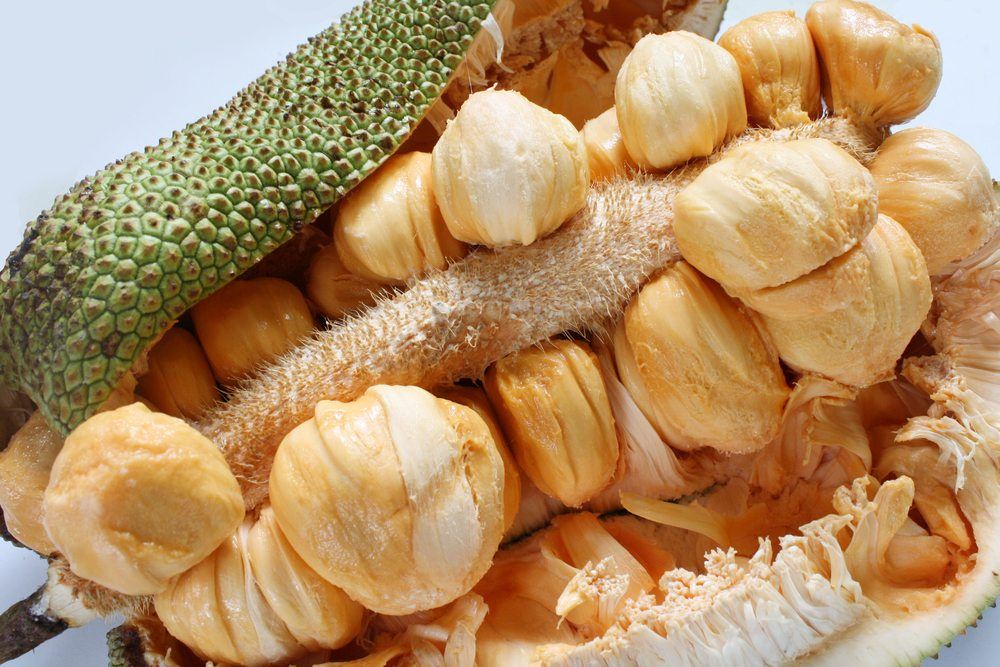 A large cempedak that has been cut open, showing nodules of the fruit.