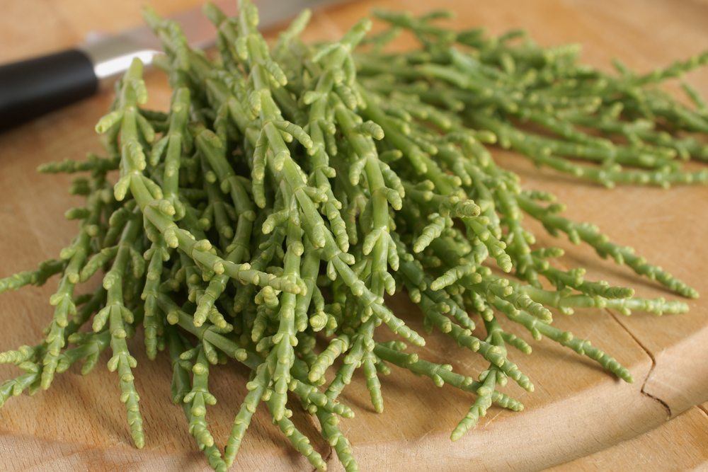 A pile of samphire sprigs on a wooden table or board