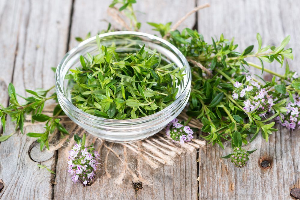 winter savory