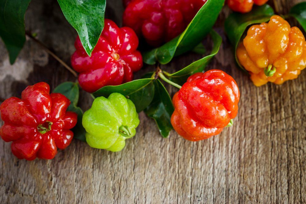 Bright red and green fruits that are known as surinam cherries 