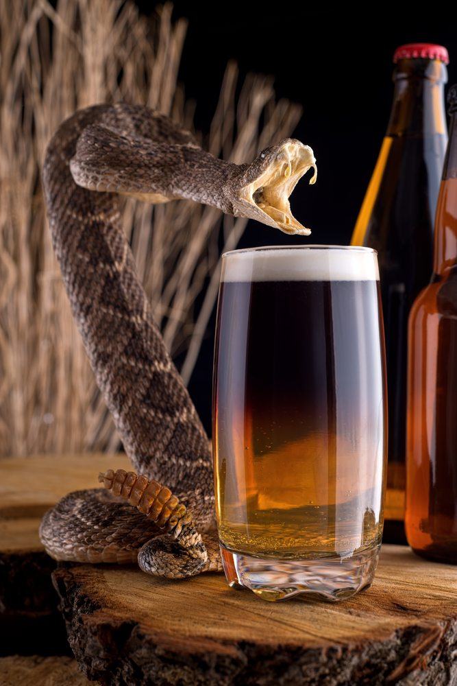 snakebite | Food For Net snakebite