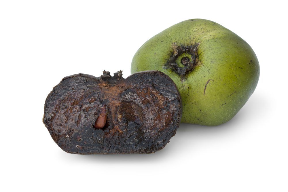 black sapote | Food For Net black sapote
