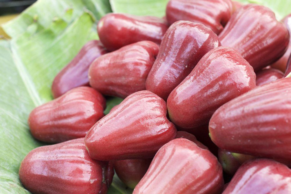 A pile of light red rose apples on green leaves.