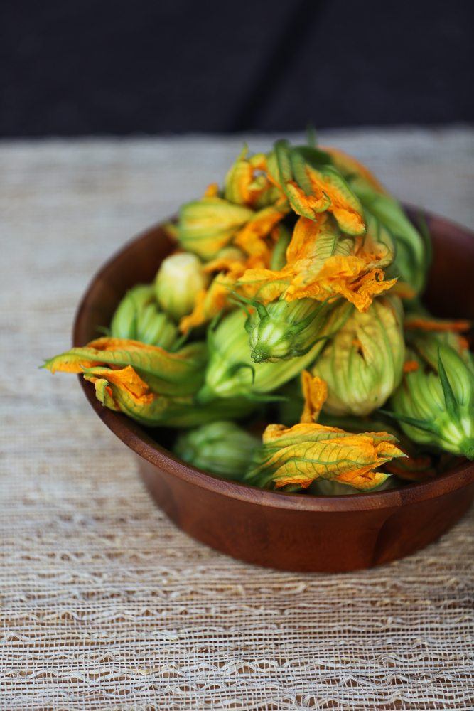 squash blossoms