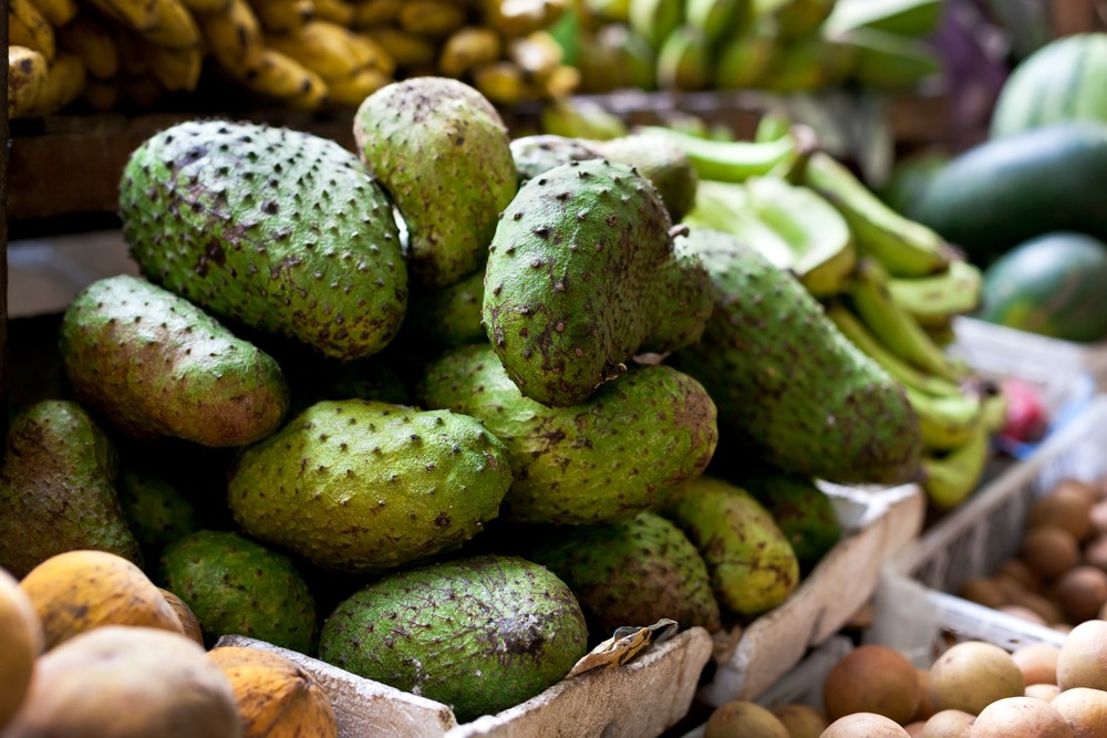 A large pile of soursop in a container sold at the market. 