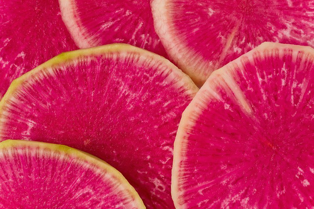 watermelon radish