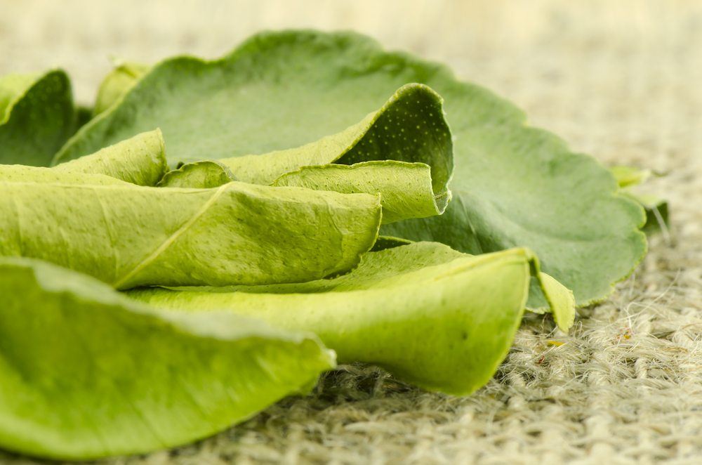 dried kaffir lime leaves