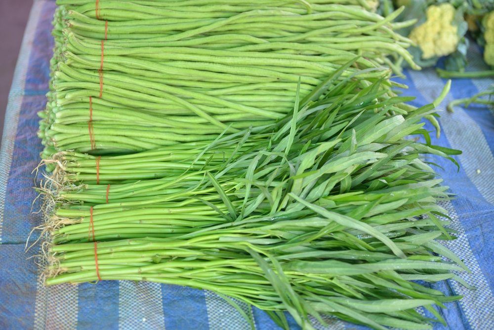 Bundles of Chinese water spinach, each tied with elastic or string