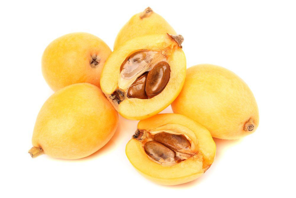 loquat | Food For Net loquat