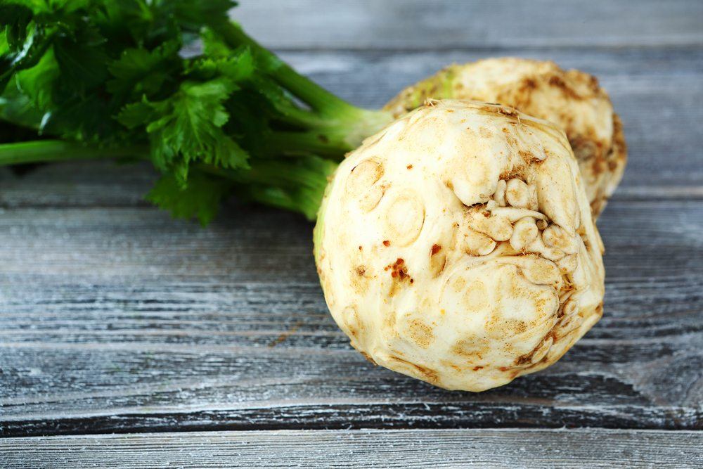 Two large trimmed celeriac roots with stalks attached