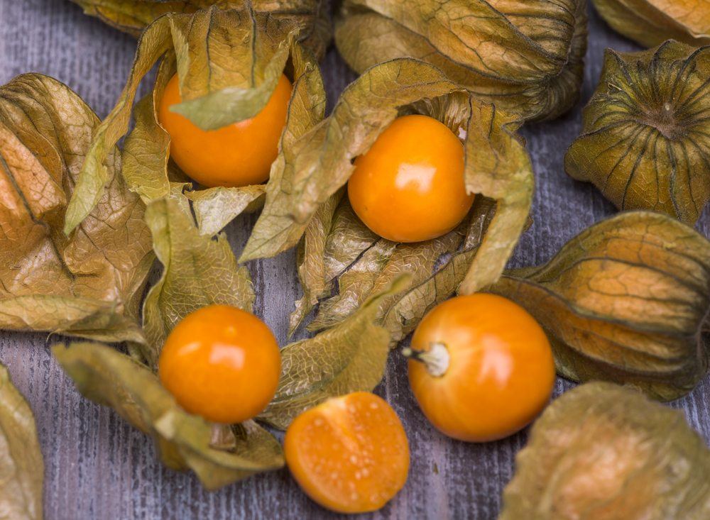 A collection of cape gooseberries, some in their thin husks and others outside of them 