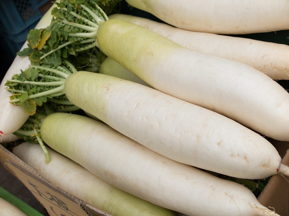 Large daikon radishes with their leaves cut off in a wooden box