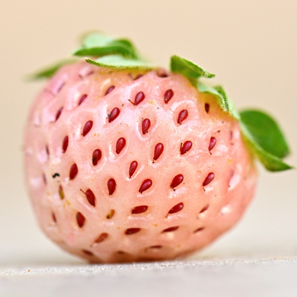 pineberry