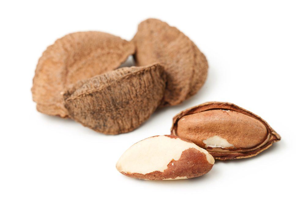 brazil nut