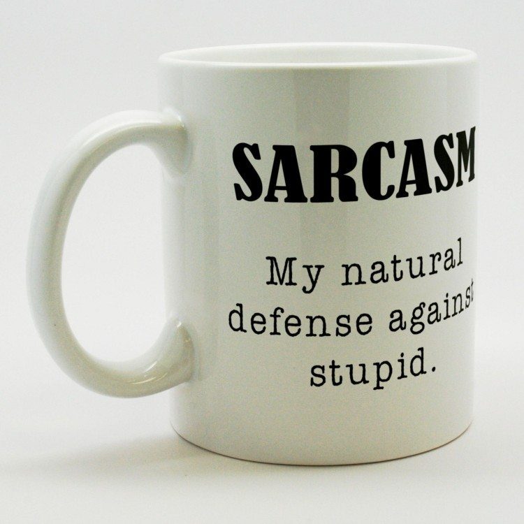 Sarcasm | Food For Net Robert // MugSmug