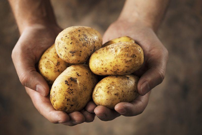 Handful of potatoes