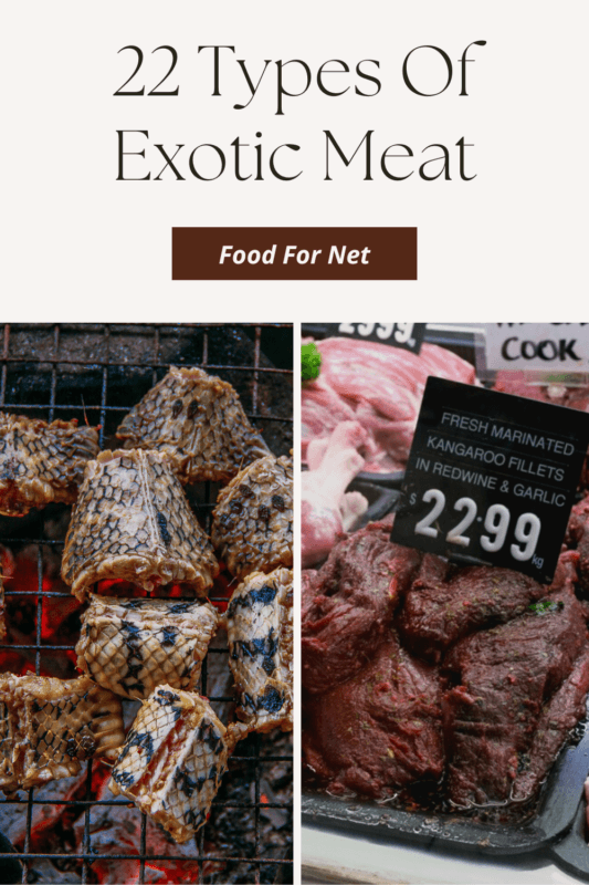 22 Types Of Exotic Meat That Will Blow Your Mind | Food For Net