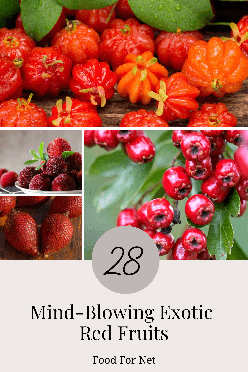 Exotic Red Fruits. A collection of different exotic red fruits, such as red salak and Barbados cherry