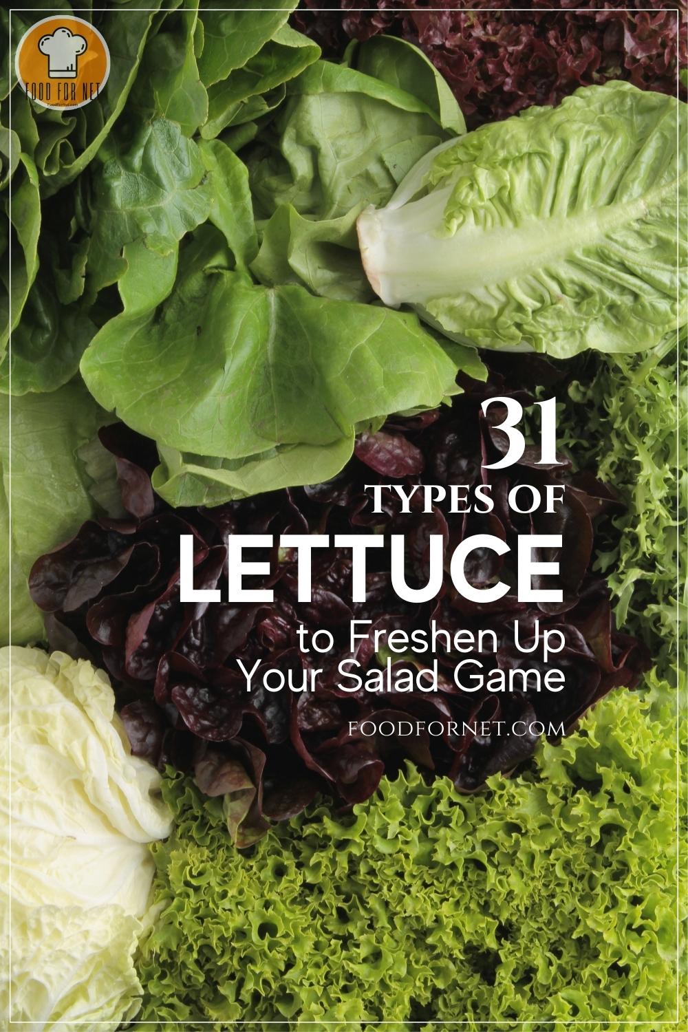 overhead shot of a spread of different types of lettuces with text overlay "31 Types of Lettuce to Freshen Up Your Salad Game"