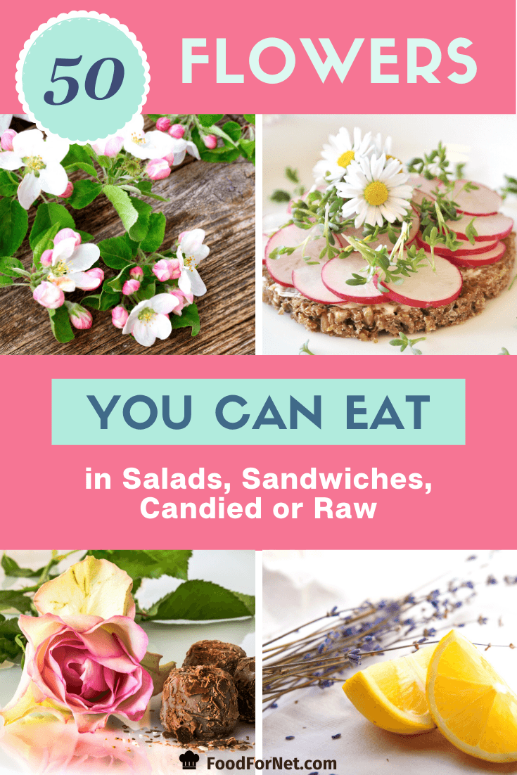 examples flower garnishes you can eat including lavender and rose petals