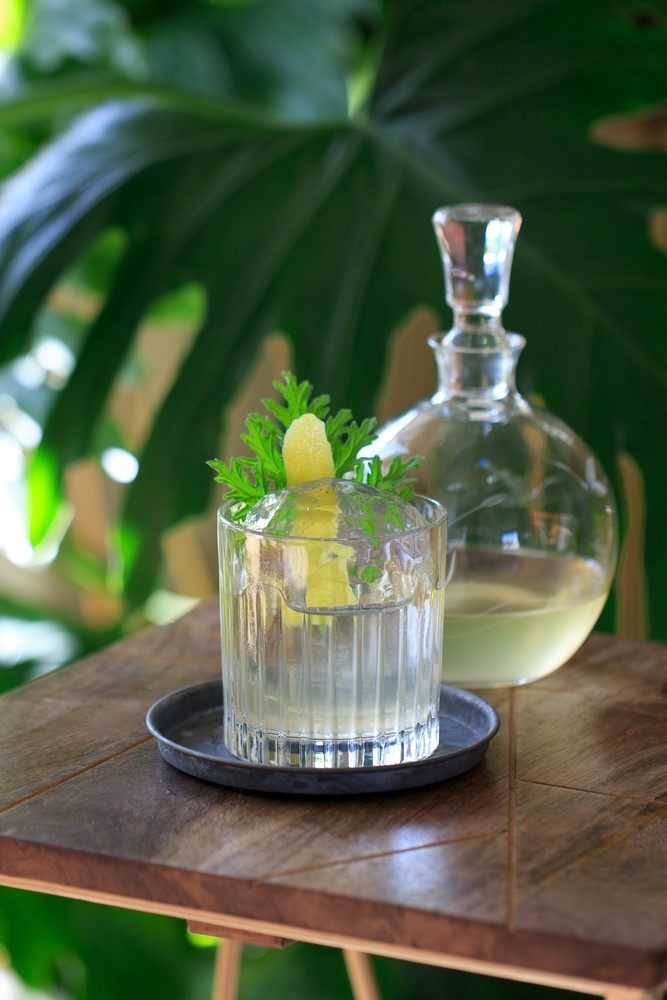 30 Milk Washed Cocktails That Show Off The Power Of This Technique Food For Net