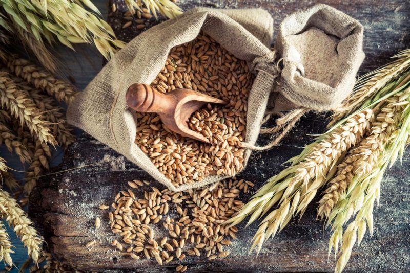 A bag of whole grains next to grains on a stalk and some spilled out onto the table