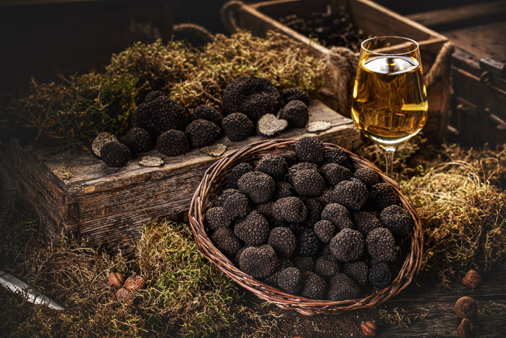 Truffle Wine Pairing Tips and Combinations Food For Net
